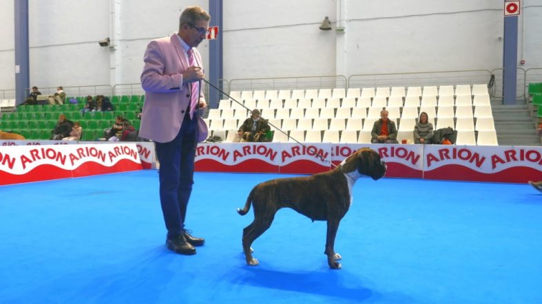 XXVII INTERNACIONAL NAVARRA 2019