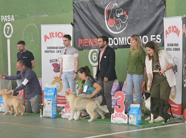 Concurso  Nacional Canino Cabanillas Del Campo 19/5/2024