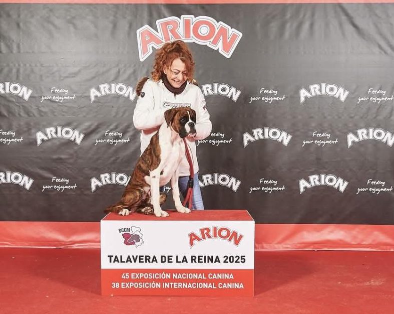 Internacional de Talavera de La Reina 23/3/2025