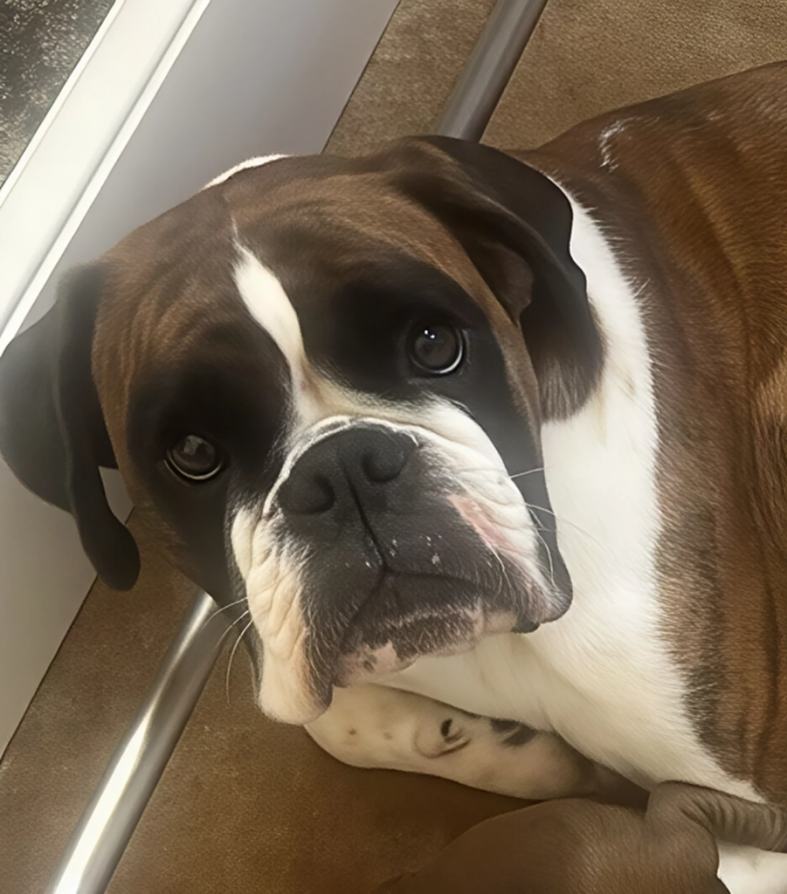Lola de Villa Astur