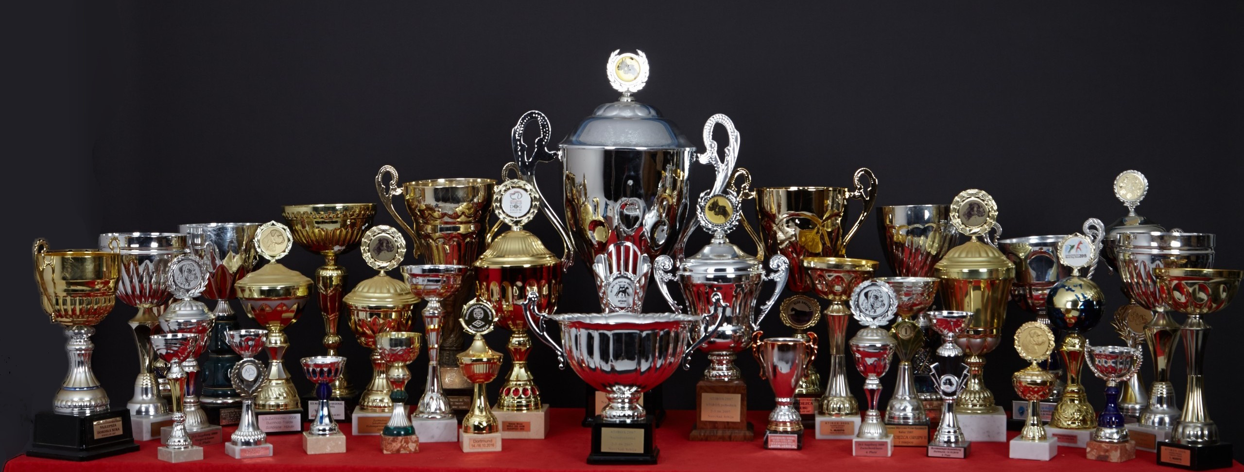 Criadores de Campeones Bóxer